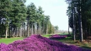 MAUVAISE NOUVELLE…