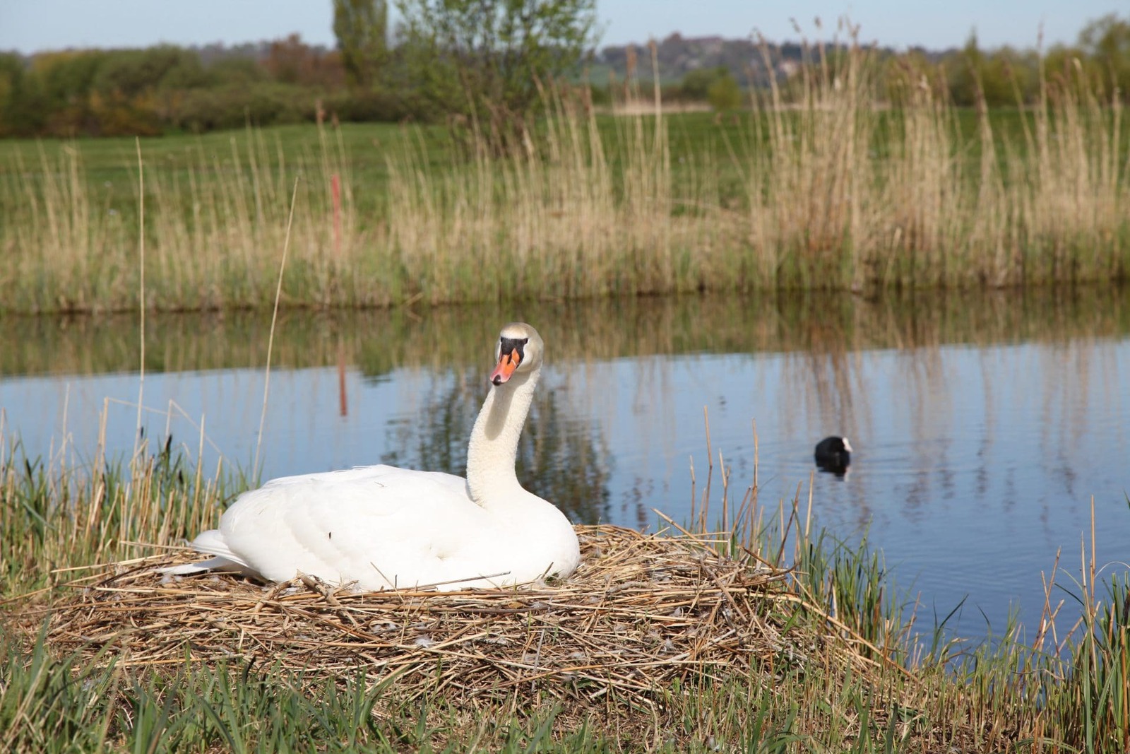 INTERCLUB AMIRAUTE HOULGATE EN LIGNE !