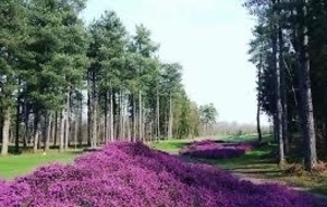 MAUVAISE NOUVELLE…