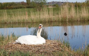 INTERCLUB AMIRAUTE HOULGATE EN LIGNE !