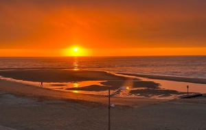 REPORT DE COMPÉTITIONS…