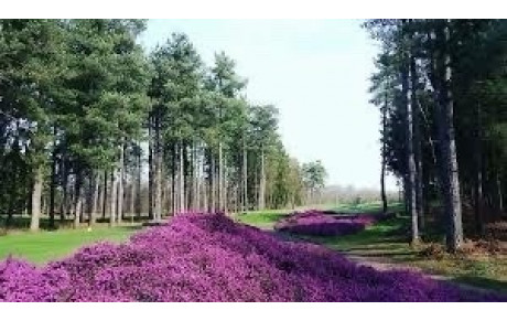 MAUVAISE NOUVELLE…