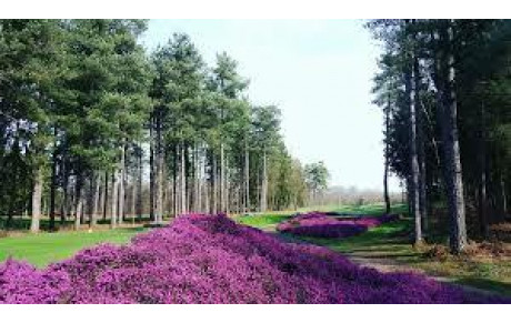 INTERCLUB CHAMP DE BATAILLE...DERNIÈRES NEWS !