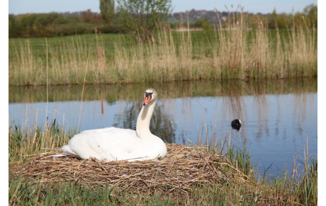 INTERCLUB AMIRAUTÉ : PRÉCISION…